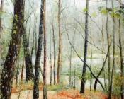 卡洛斯 费尔南德斯 伊格莱西亚 : Pineros e fentos